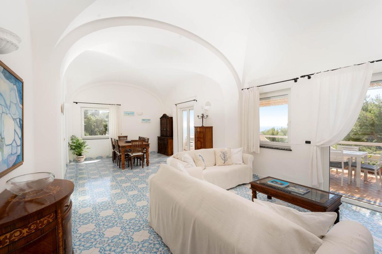 Oliveto Capri Apartments Zewnętrze zdjęcie