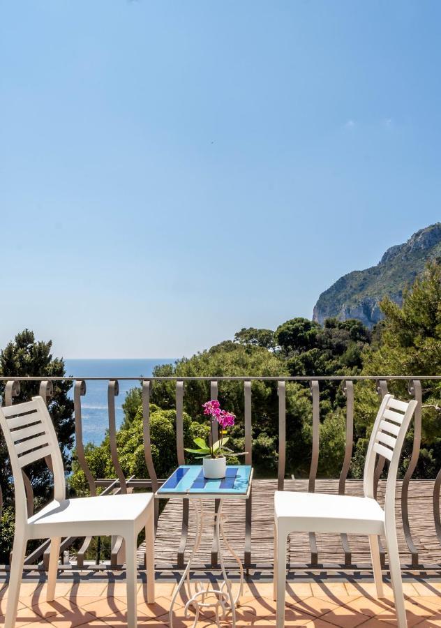 Oliveto Capri Apartments Zewnętrze zdjęcie
